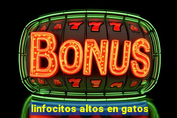 linfocitos altos en gatos