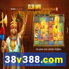 38v388.com
