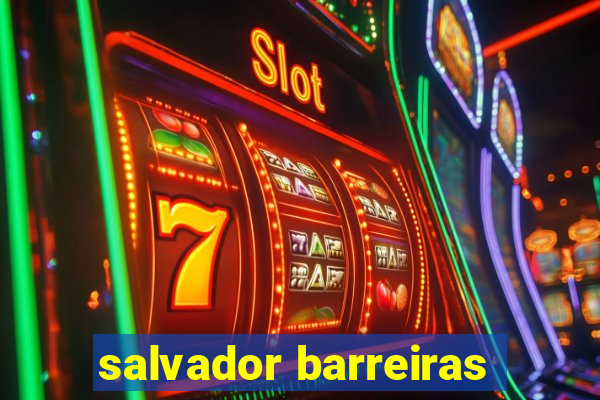 salvador barreiras