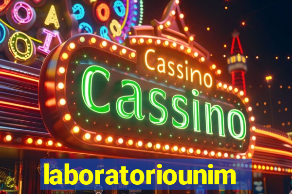 laboratoriounimedblumenau.com.br