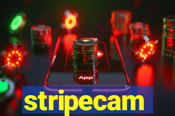 stripecam