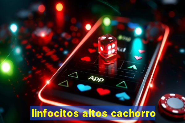 linfocitos altos cachorro