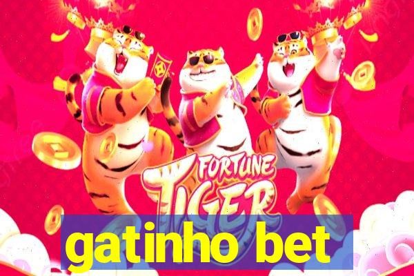 gatinho bet