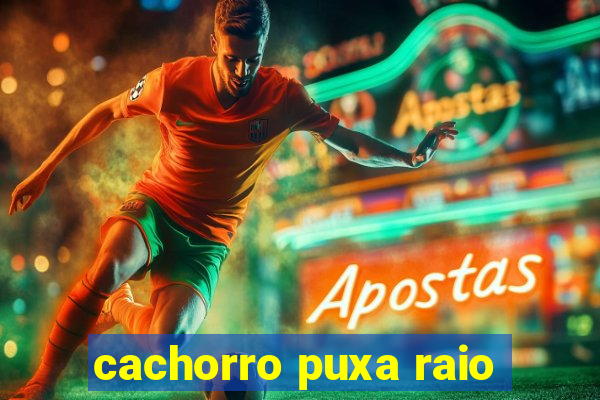 cachorro puxa raio