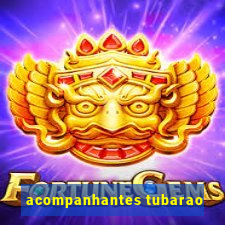 acompanhantes tubarao