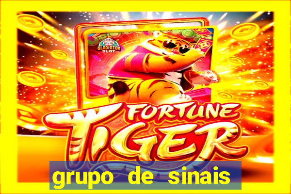 grupo de sinais fortune rabbit