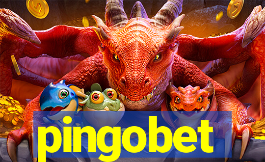 pingobet