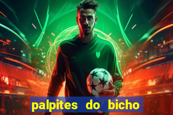 palpites do bicho no celular