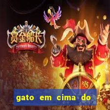 gato em cima do telhado significado espiritual