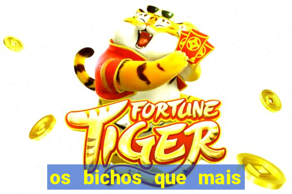 os bichos que mais saem na loteria federal