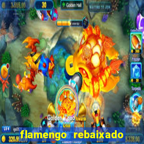 flamengo rebaixado em 1995