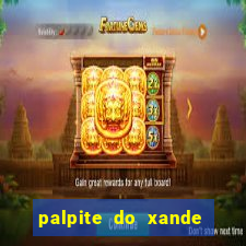 palpite do xande para hoje