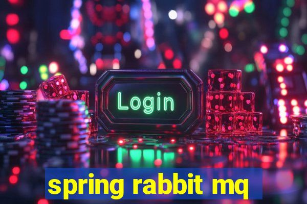 spring rabbit mq