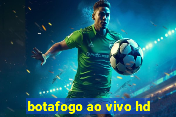 botafogo ao vivo hd