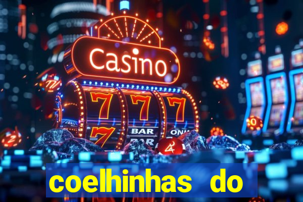 coelhinhas do brasil recife