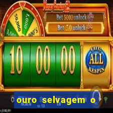 ouro selvagem o que aconteceu na vida