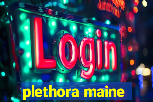 plethora maine