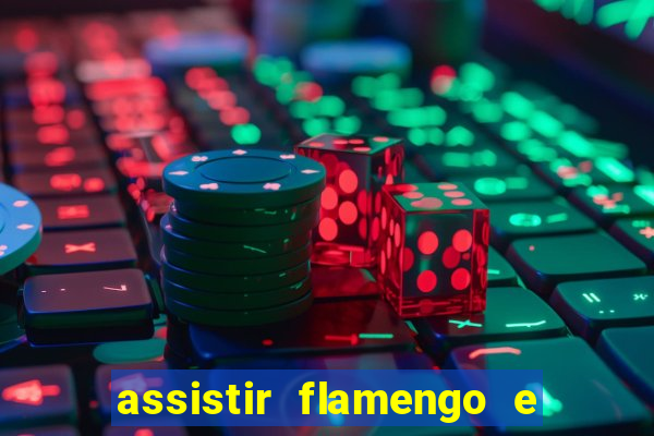 assistir flamengo e atlético mineiro