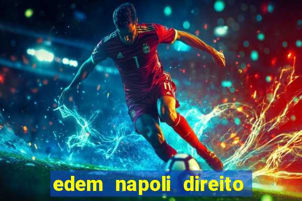 edem napoli direito constitucional pdf