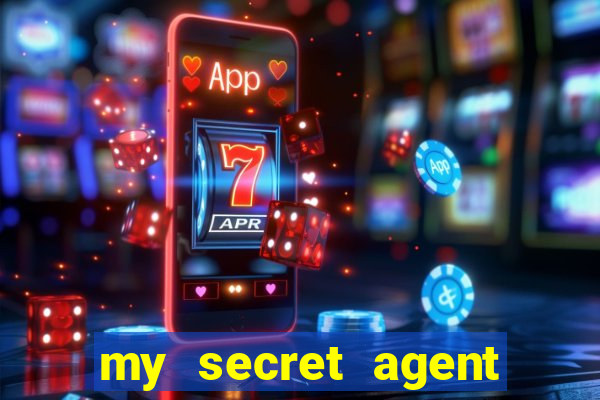 my secret agent husband legendado