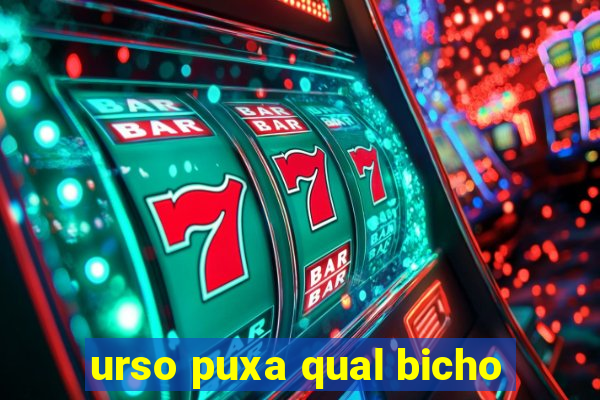 urso puxa qual bicho