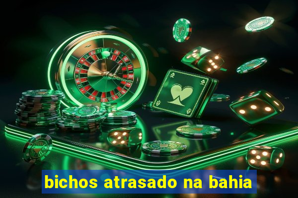 bichos atrasado na bahia