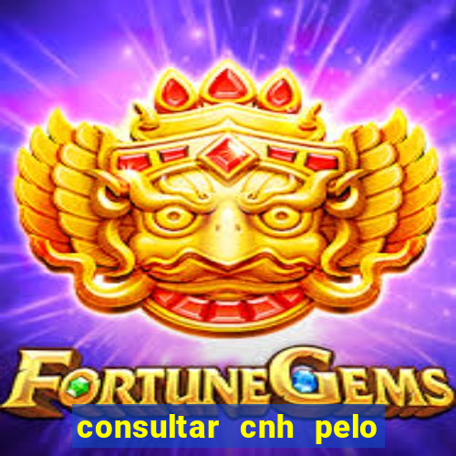 consultar cnh pelo cpf sp
