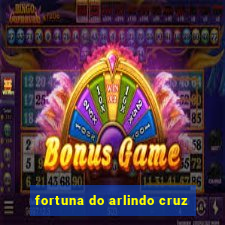 fortuna do arlindo cruz