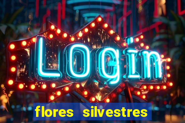 flores silvestres desbravadores desbravadores 25