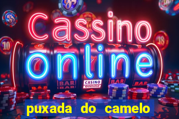 puxada do camelo no jogo do bicho