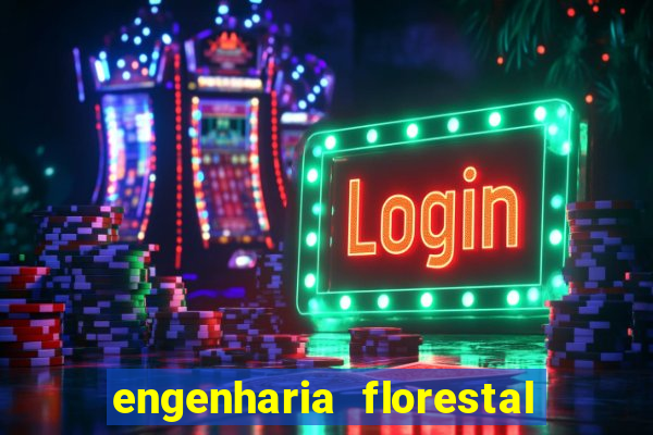 engenharia florestal ead cruzeiro do sul